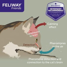 Feliway Friends Calming Pheromone for Multi-Cat Homes - Diffuser Kit with 48ml Bottle image 5