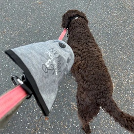 All Fur You Dog Poop Can Grey | Hygienic Waste Disposal image 5