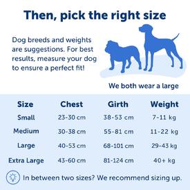 Petsafe Easy Walk Front-Attachment No-Pull Dog Harness image 5
