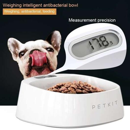 antibacterial dog bowl