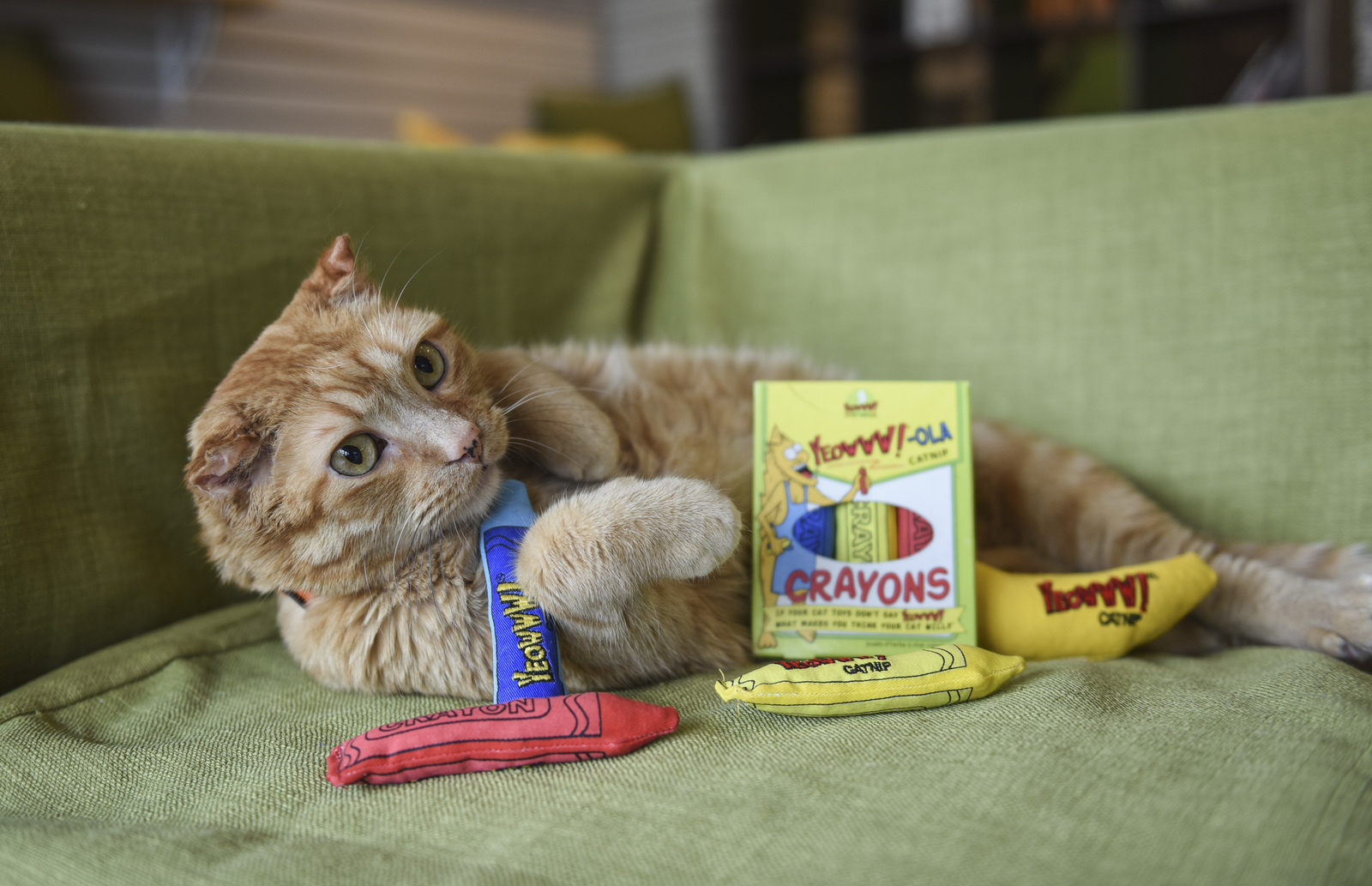 Yeowww! Cat Toys with Pure American Catnip - Yeowww!-ola Crayon image 6