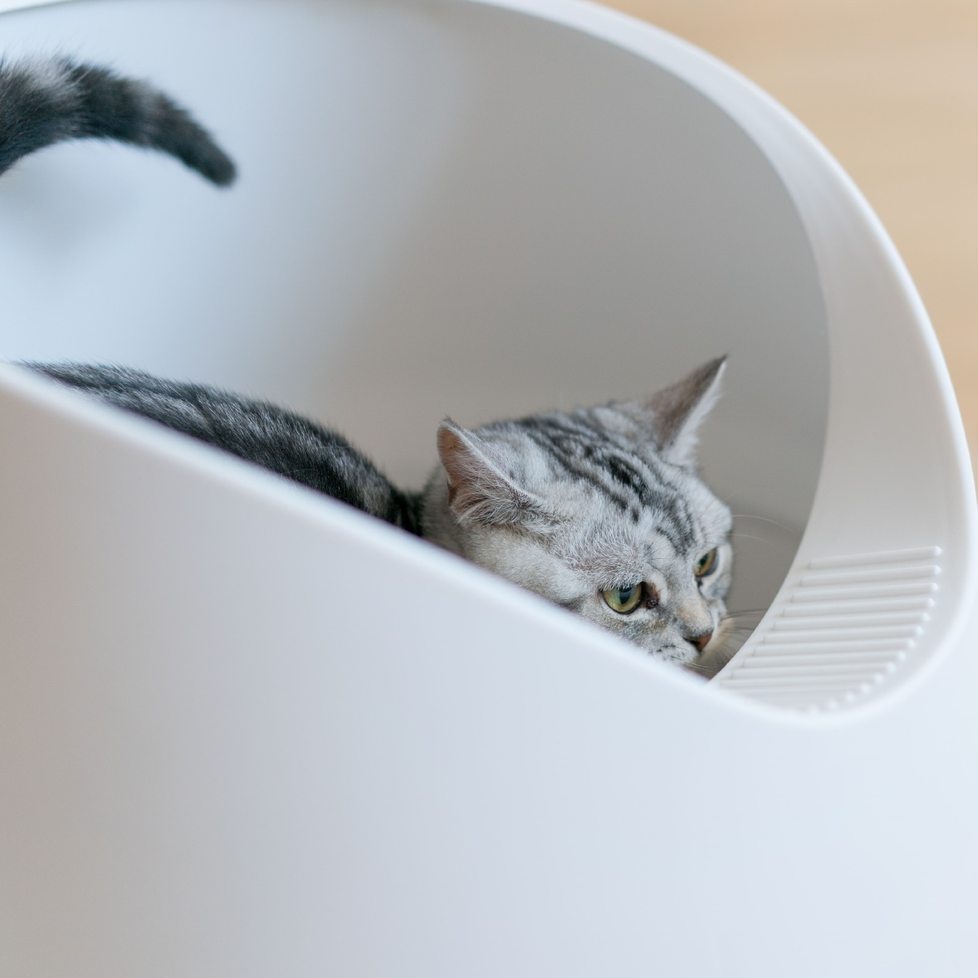 PIDAN Deluxe Antibacterial Tracking-Resistant Cat Litter Box image 6