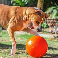 Aussie Dog Staffie Ball - Extra Tough Large Rattle Dog Toy image 6