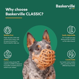 Baskerville Classic Basket Dog Muzzle | Secure, Comfortable & Breathable image 6
