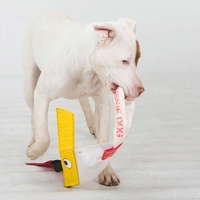 Aussie Dog Standard Bungie Chook Dog Toy image 6