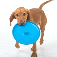 Aussie Dog Flying Disc Fetch Dog Toy - Blue Soft Frisbee image 6
