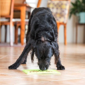 Lickimat Soother Original Slow Food Licking Mat for Cats & Dogs image 6