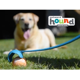 Outward Hound Thrower Chuckit Tennis Ball Launcher for Dogs image 6