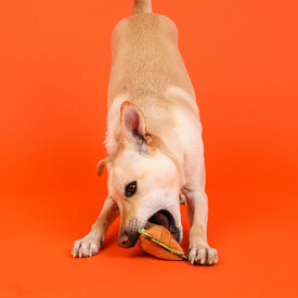 Outward Hound Xtreme Seamz Squeaker Dog Toy - Lion image 6