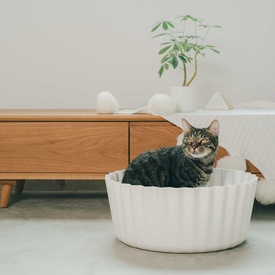 PIDAN Cupcake Bed with Plush Cushion for Cats and Small Dogs image 6