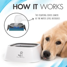 All Fur You Anti Splash Bowl White | No Mess Pet Water Bowl 1L image 6