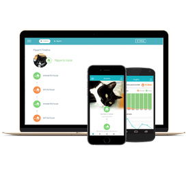 Sure Petcare Sureflap Microchip Connect Cat Door (Small) & Connect Wifi Hub Option image 6