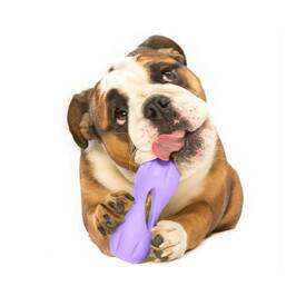 West Paw Qwizl Treat Dispensing Dog Toy - Treat Dispensing Dog Toy image 6