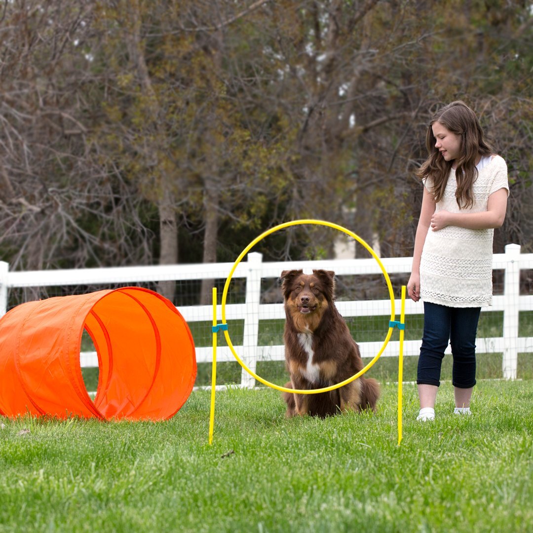 Outward Hound ZipZoom Outdoor Agility Kit for Dogs image 7
