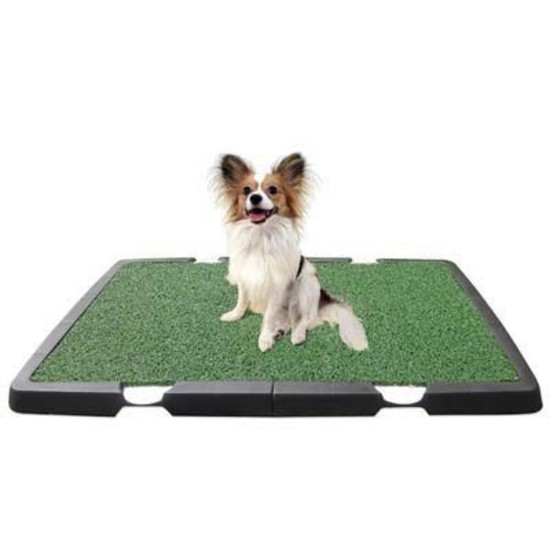 Dog potty pads Spotty Indoor Dog Potty Pads