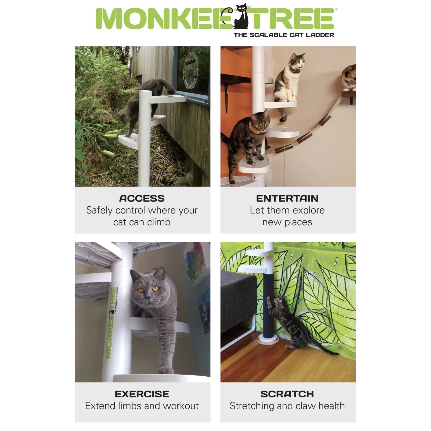 Monkee Tree - The Scalable Cat Climbing Ladder 12 Trunk Starter Pack in BLACK image 7