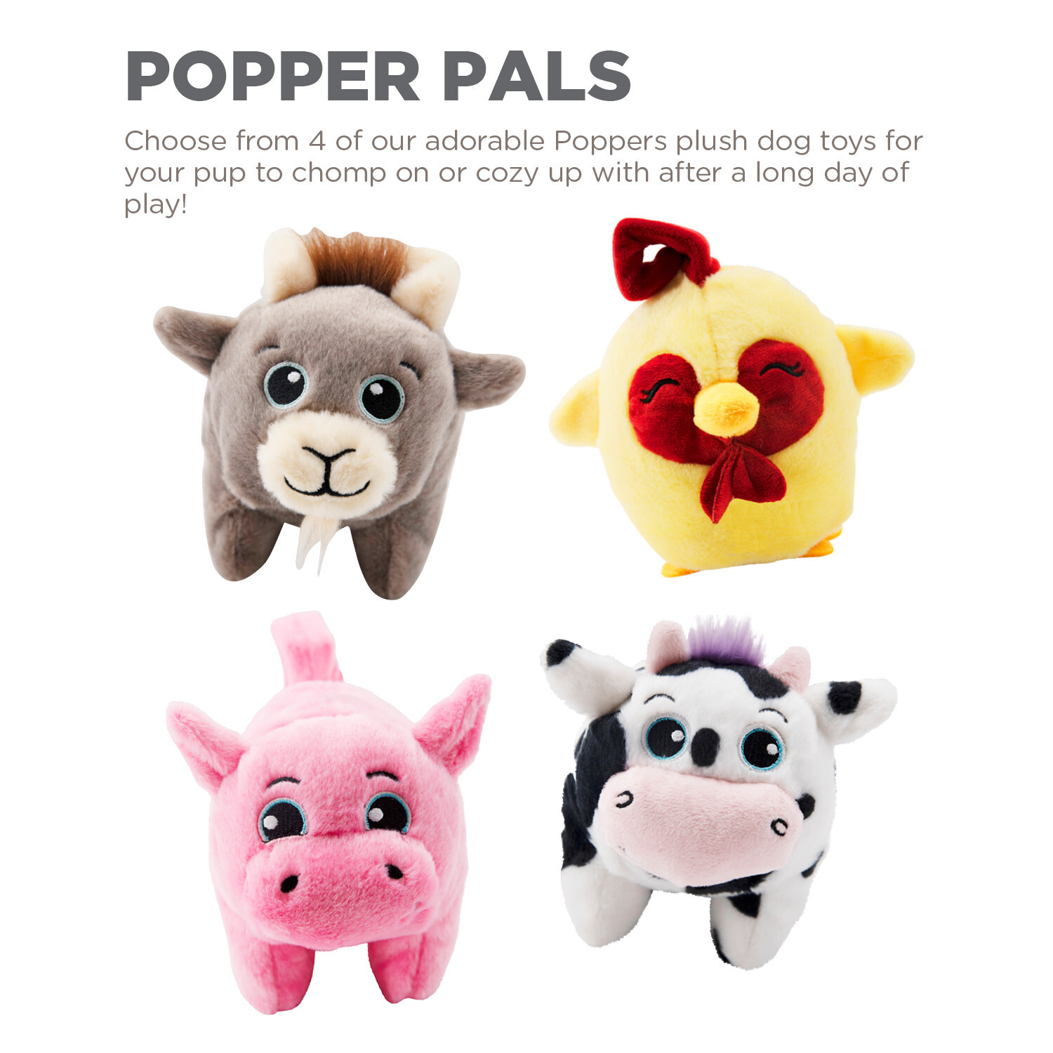 Squeaky dog deals toys australia
