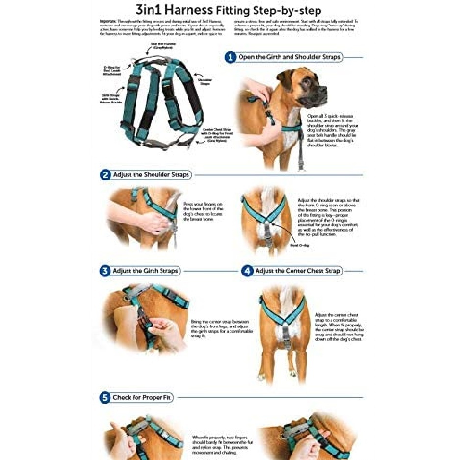 Petsafe 3-in-1 Anti-Pulling Dog Harness and Car Safety Restraint image 7
