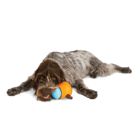 West Paw Toppl Treat Dispensing Wobbling Dog Toy & Food Bowl - Holiday Colours image 7