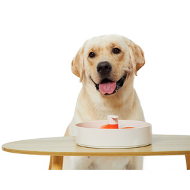 SPIN Interactive Adjustable Slow Feeder for Cats and Dogs - Flower image 7