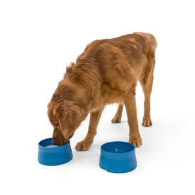 West Paw Seaflex Eco-Friendly No-Slip Dog Food Bowl image 7