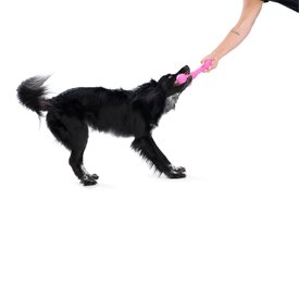 West Paw Skamp Flyer-Inspired Fetch Dog Toy in Bright Colours image 7