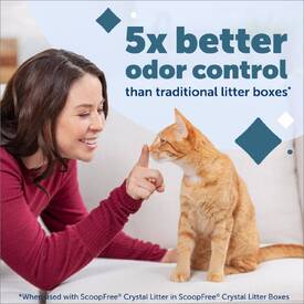 ScoopFree Reusable Cat Litter Tray for use with the Scoopfree Automatic Litter Box image 7