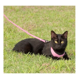 Alcott Flexi-ble Adventure Retractable Tape Dog Leash - Pink image 7