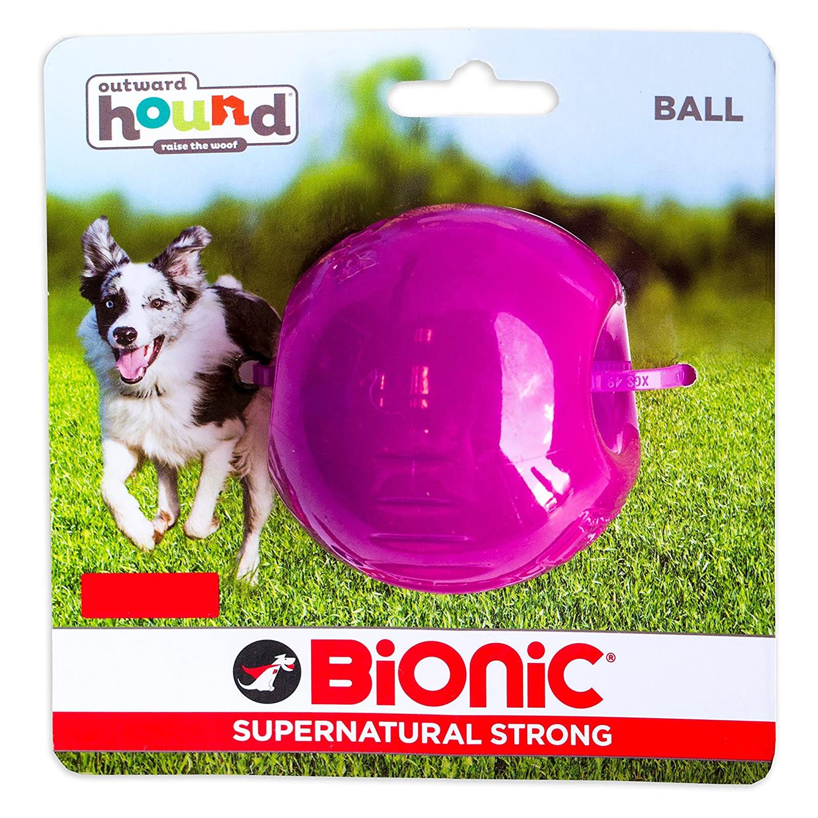 bionic dog frisbee