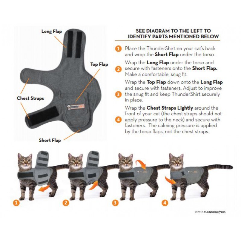 Cat thunder sales vest