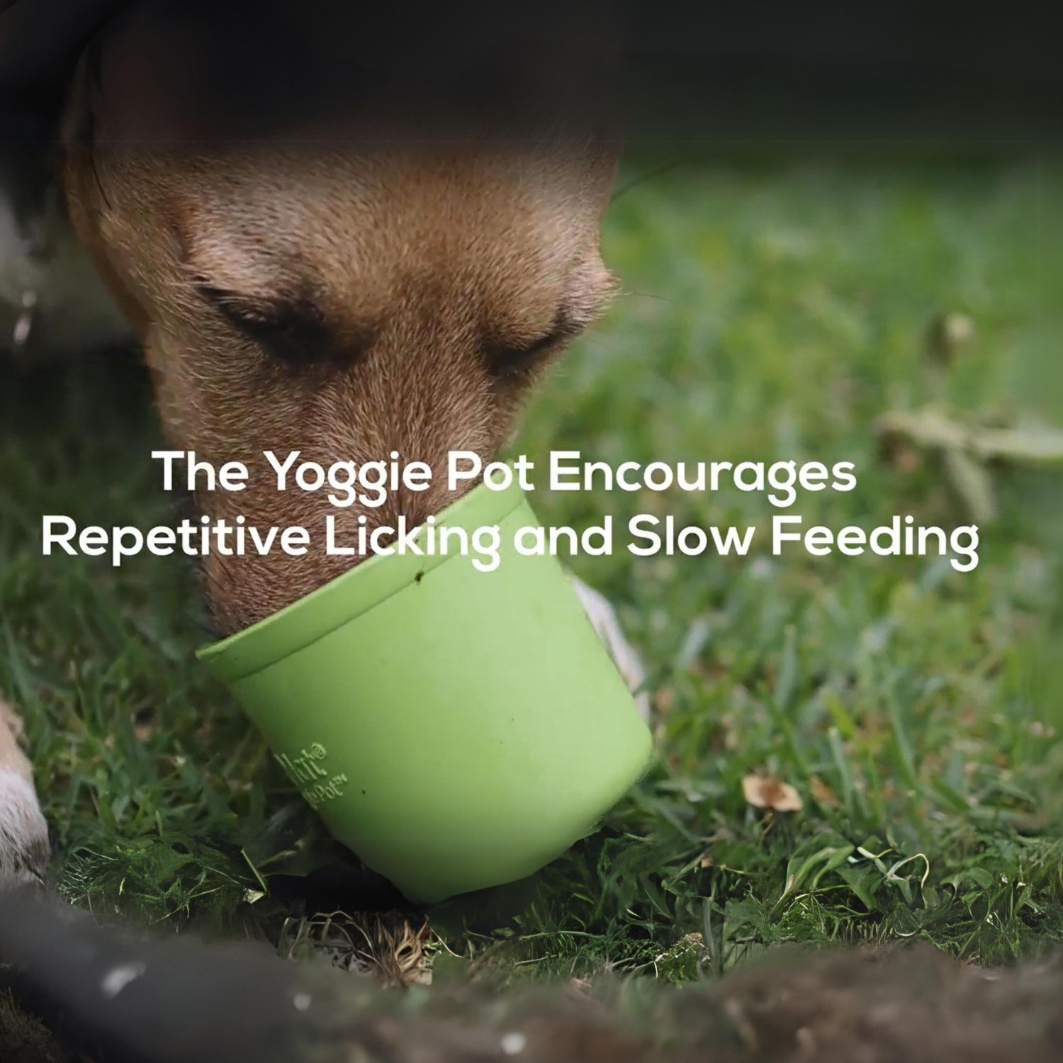Lickimat Yoggie Pot Slow Feeder Dog Bowl for Wet & Dry Food image 8