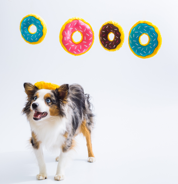 Zippy Paws Donutz Squeaker Dog Toy in a Variety of "Flavours" image 8