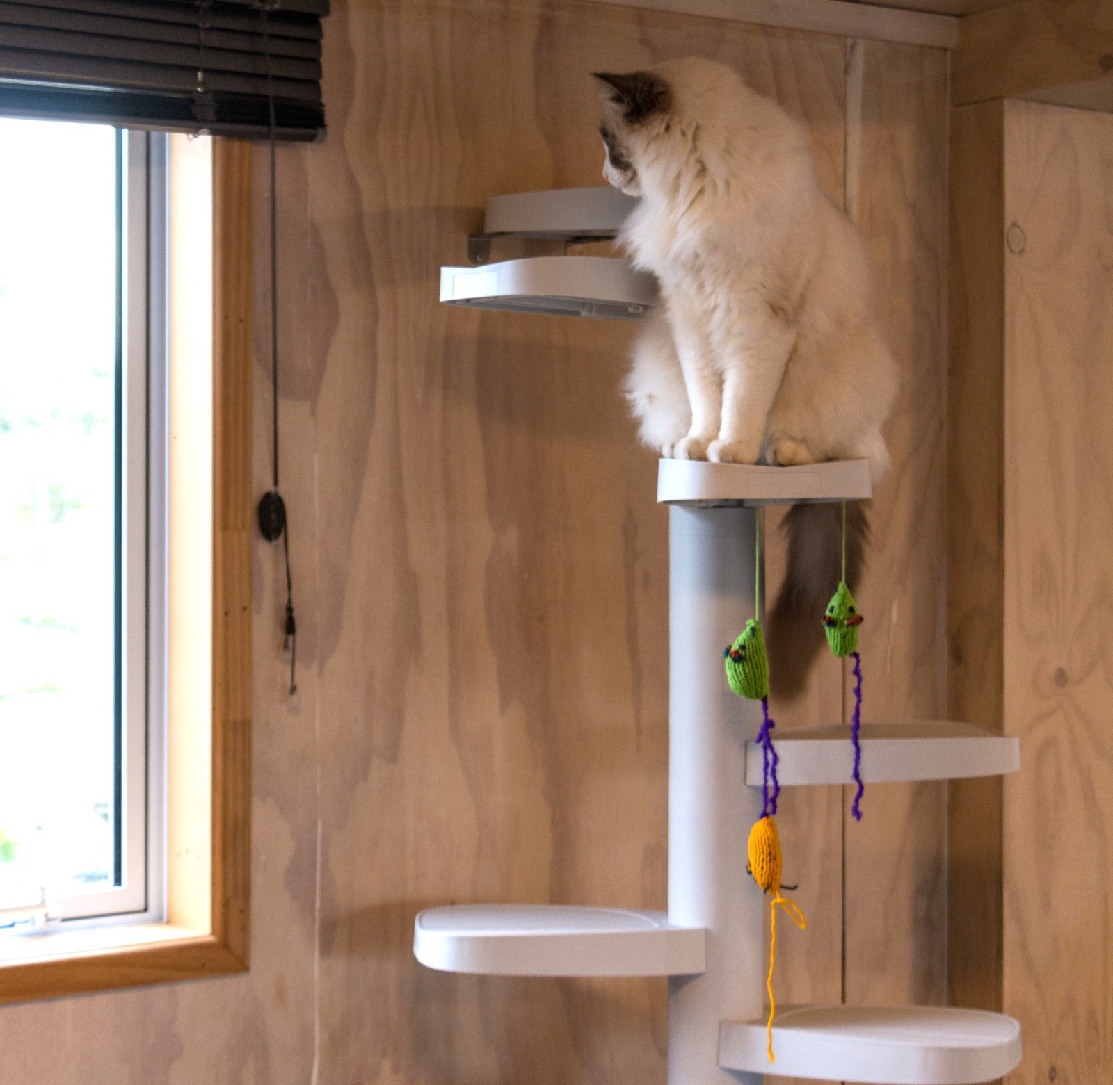Monkee Tree - The Scalable Cat Climbing Ladder 18 Trunk Starter Pack image 8