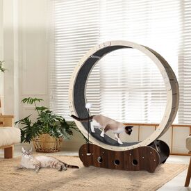 Cat Exercise Wheel Running Treadmill Exerciser Scratcher Toy Furniture image 8