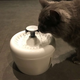 All Fur You Whisper Water Fountain | Silent & Clean Hydration image 8