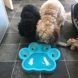 PAW 2-in-1 Slow Feeder & Anti-Anxiety Food Pet Lick Pad & Bowl Combo image 8
