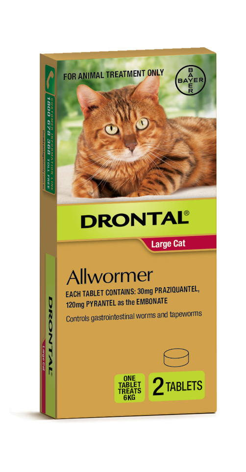 Drontal AllWormer for Big Cats Up 2 Tablets