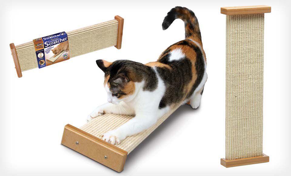 smart cat scratcher