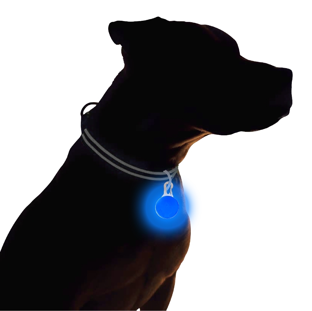 Doglite Led Collar Pendant Light For Dogs And Cats