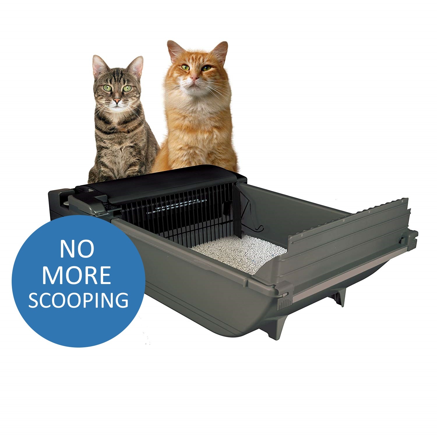 no scoop cat litter box