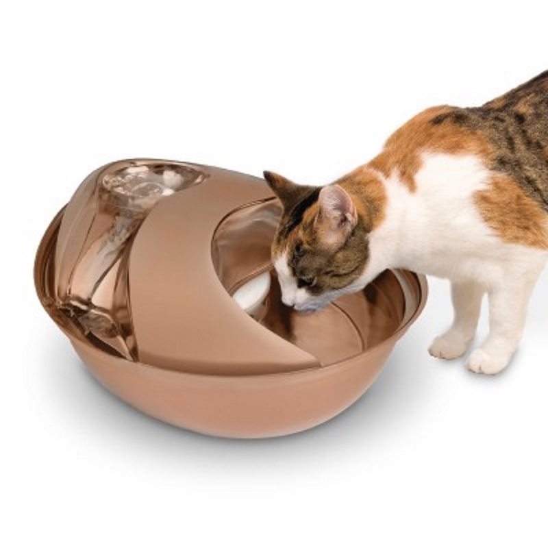 stainless steel pet fountain drinkfontein pioneer pet raindrop stainless steel fountain for dogs cats rose gold stainless steel pet fountain drinkfontein pioneer pet raindrop stainless steel fountain for dogs cats rose gold