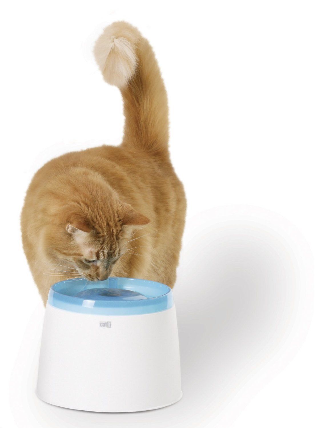 Catit Fresh & Clear 2 Litre Pet Fountain for Cats & Small Dogs