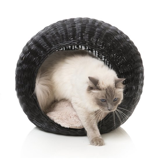 Stylish Cat Bed Furniture Cat Cushion Covers