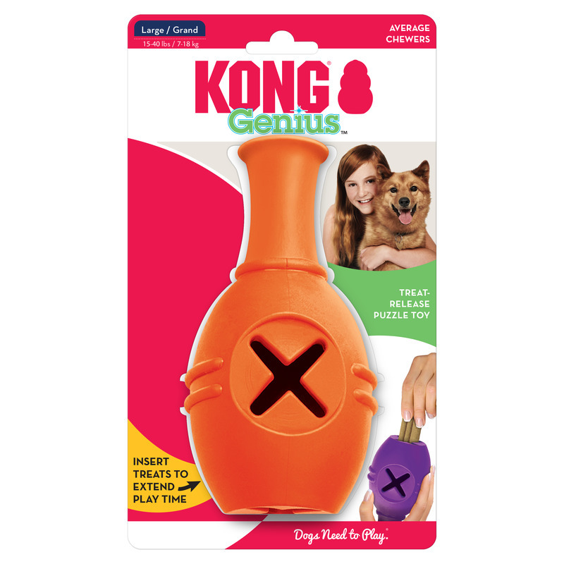 Kong genius leo large sales