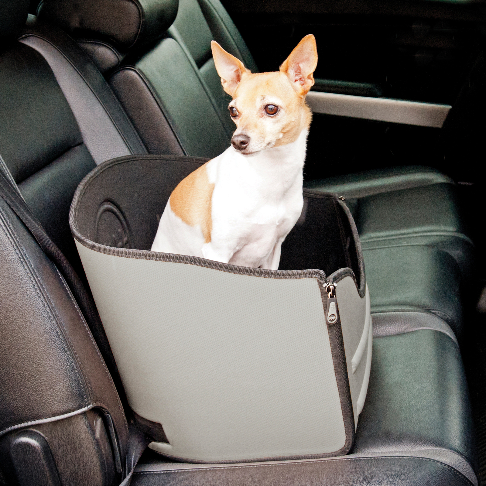 Dog Car Seats and Seat Belts: Can They Keep Your Pup Safe?