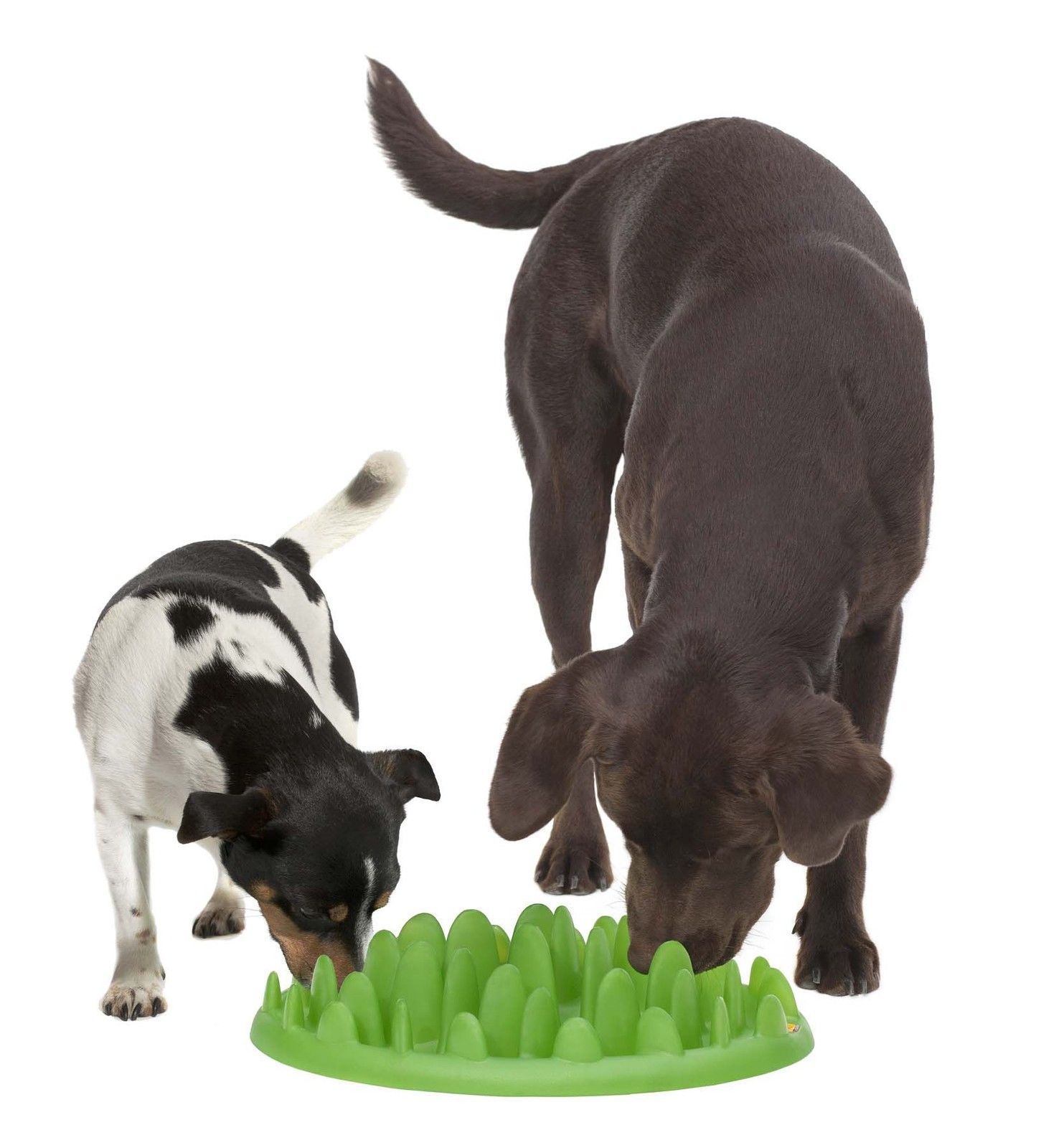 Karlie Northmate Green Mini Anti-Gluttony Feeding Dish for Dog Green 29 x 22.5 x 7 cm