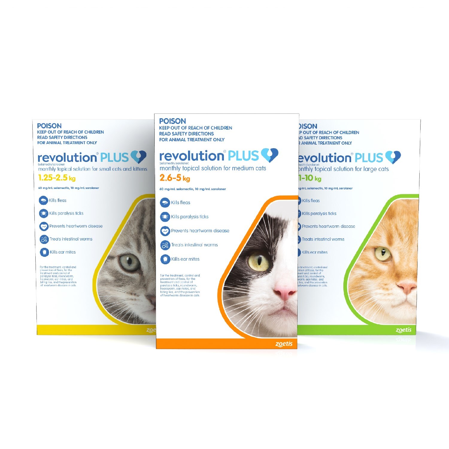 revolution plus flea treatment for cats