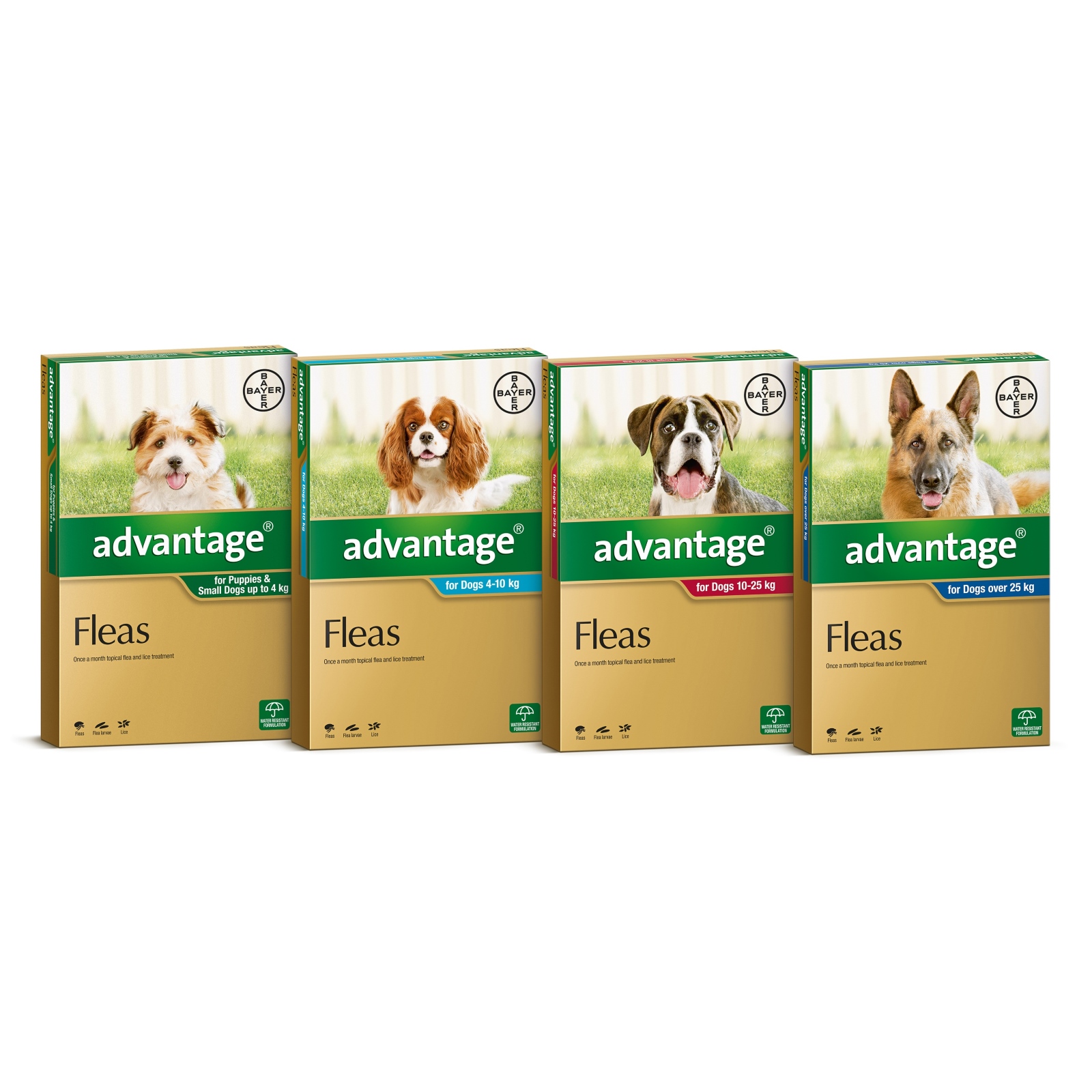 Advantage for Dogs Natural Flea Treatment