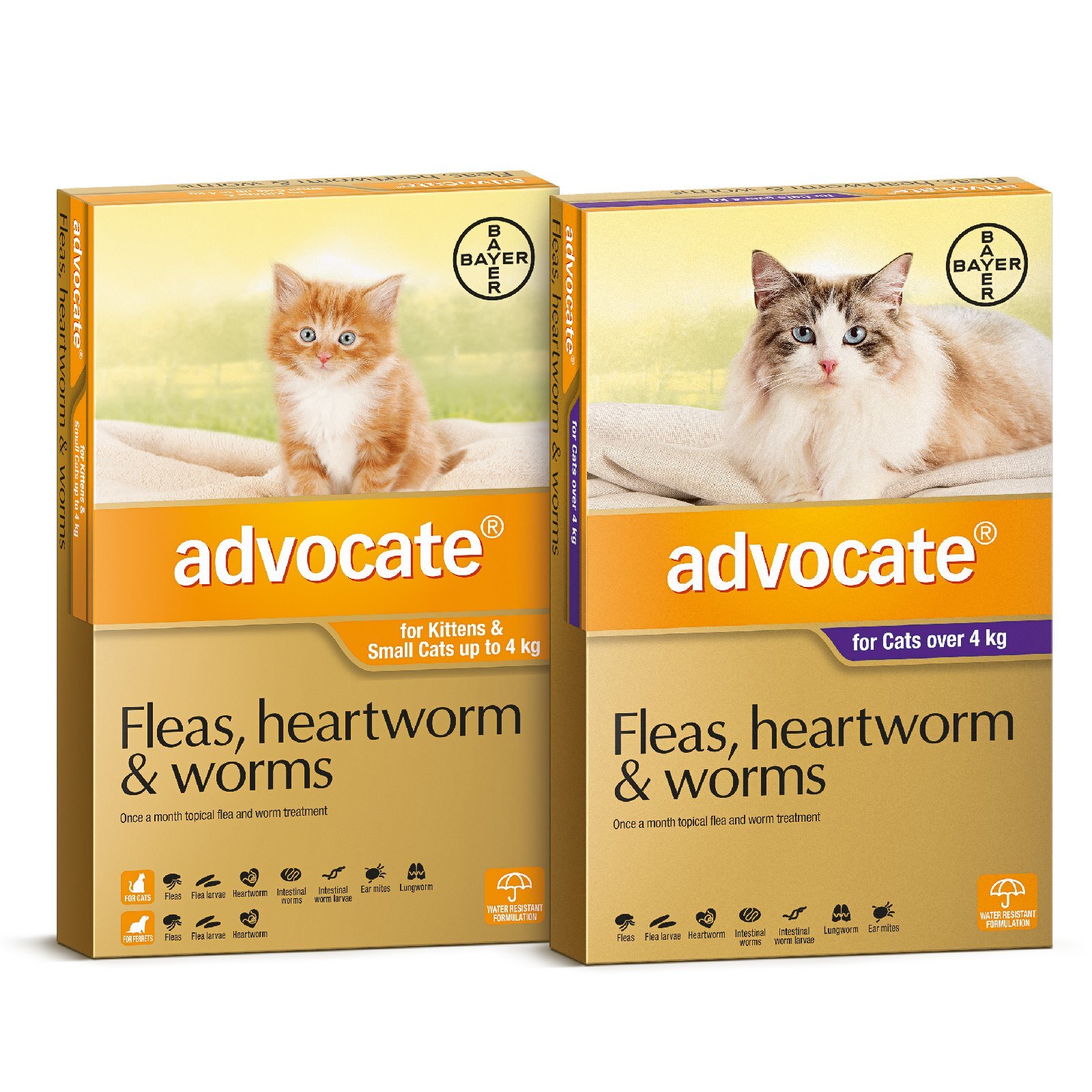 Advocate Flea Worm Control For Cats 6pck