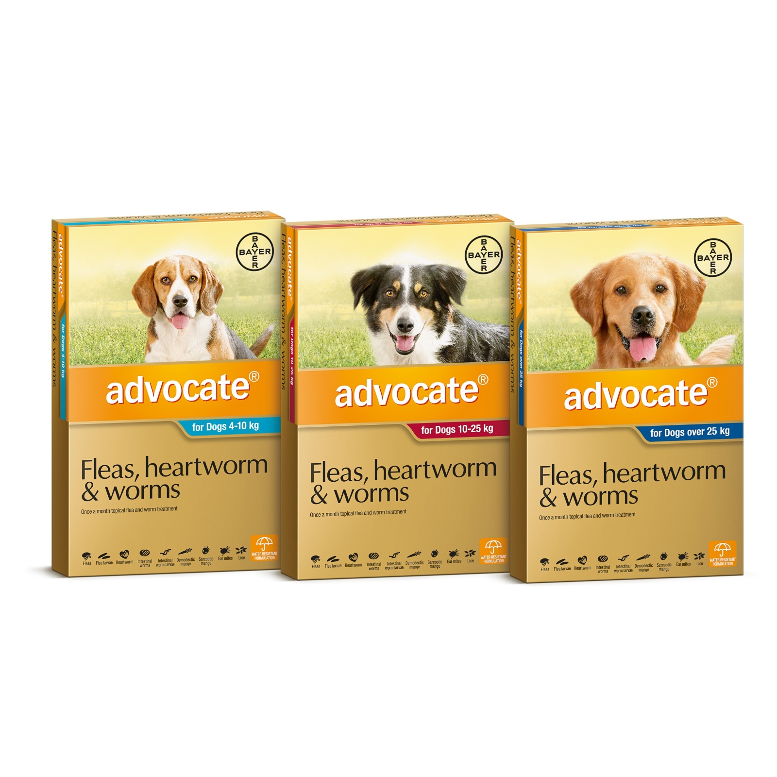 advocate flea heartworm and worm treatment for dogs